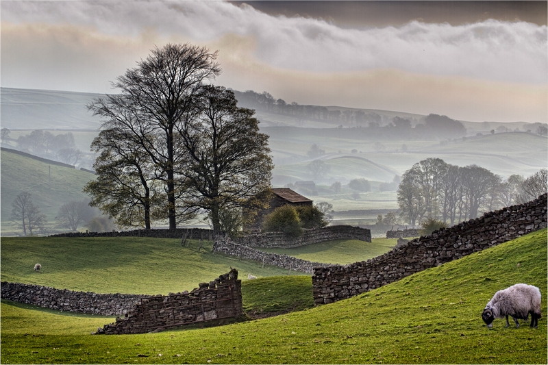 29 - SWALEDALE IN THE MIST - HAYCOX SHEILA - united kingdom.jpg